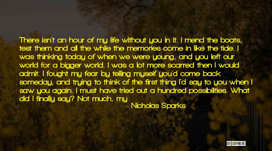 Pozuelo Guayama Quotes By Nicholas Sparks Pozuelo Guayama Quotes By Nicholas Sparks