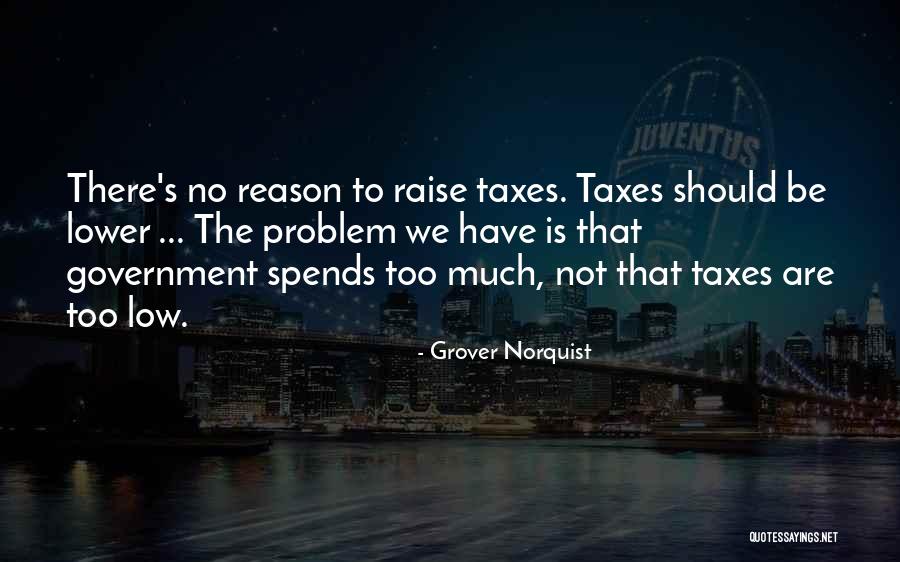 Pozzolanic Reaction Quotes By Grover Norquist Pozzolanic Reaction Quotes By Grover Norquist