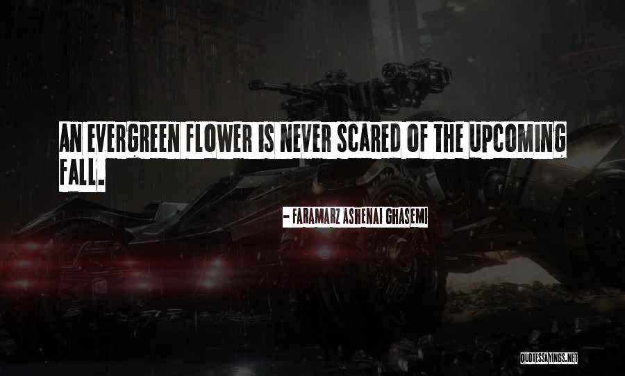 Pr Dlov D Rka Quotes By Faramarz Ashenai Ghasemi Pr Dlov D Rka Quotes By Faramarz Ashenai Ghasemi