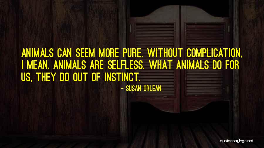 Pr Pony Quotes By Susan Orlean Pr Pony Quotes By Susan Orlean