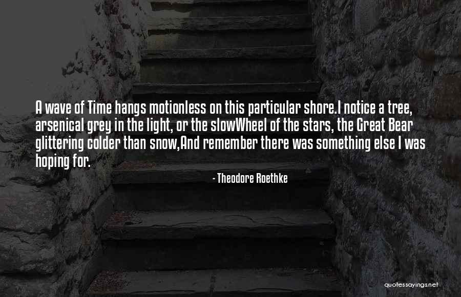 Praca Chicago Quotes By Theodore Roethke Praca Chicago Quotes By Theodore Roethke