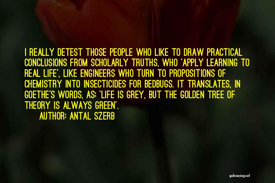 Practical Learning Quotes By Antal Szerb