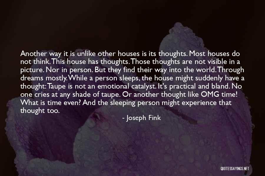 Practical Person Quotes By Joseph Fink