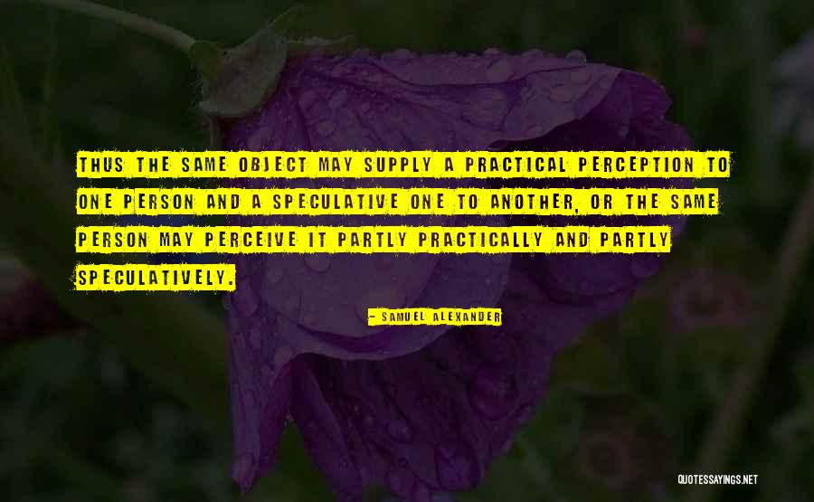 Practical Person Quotes By Samuel Alexander