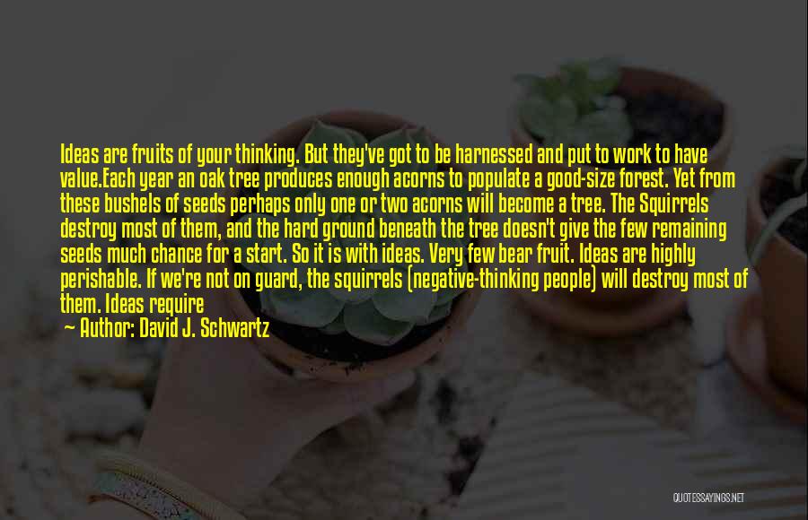 Practical Thinking Quotes By David J. Schwartz