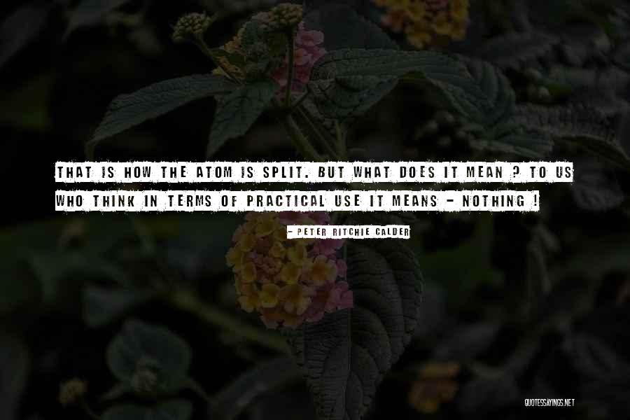 Practical Thinking Quotes By Peter Ritchie Calder Practical Thinking Quotes By Peter Ritchie Calder