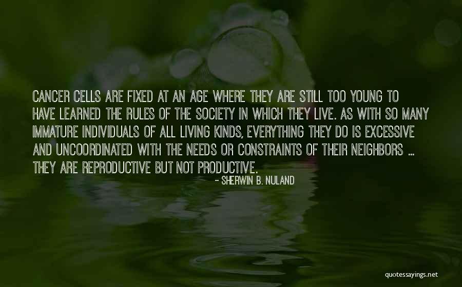 Practicality And Efficiency Quotes By Sherwin B. Nuland Practicality And Efficiency Quotes By Sherwin B. Nuland