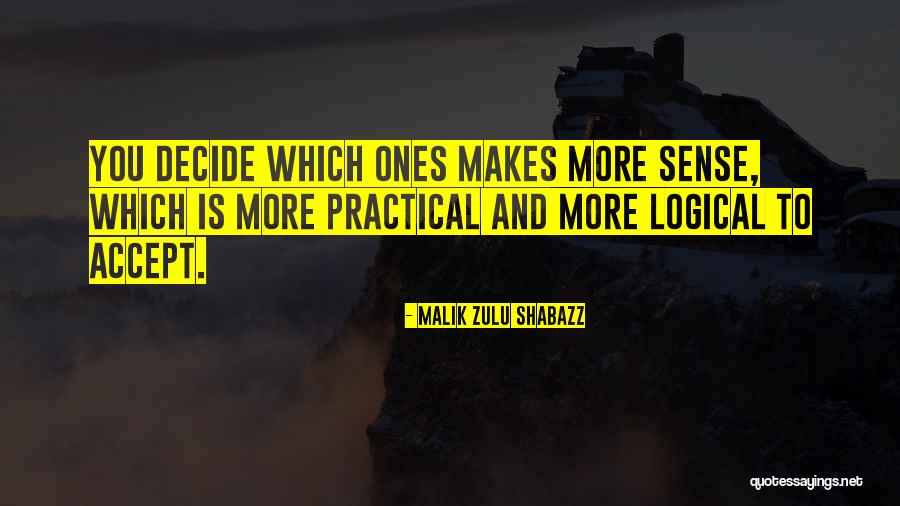 Practicals Quotes By Malik Zulu Shabazz Practicals Quotes By Malik Zulu Shabazz