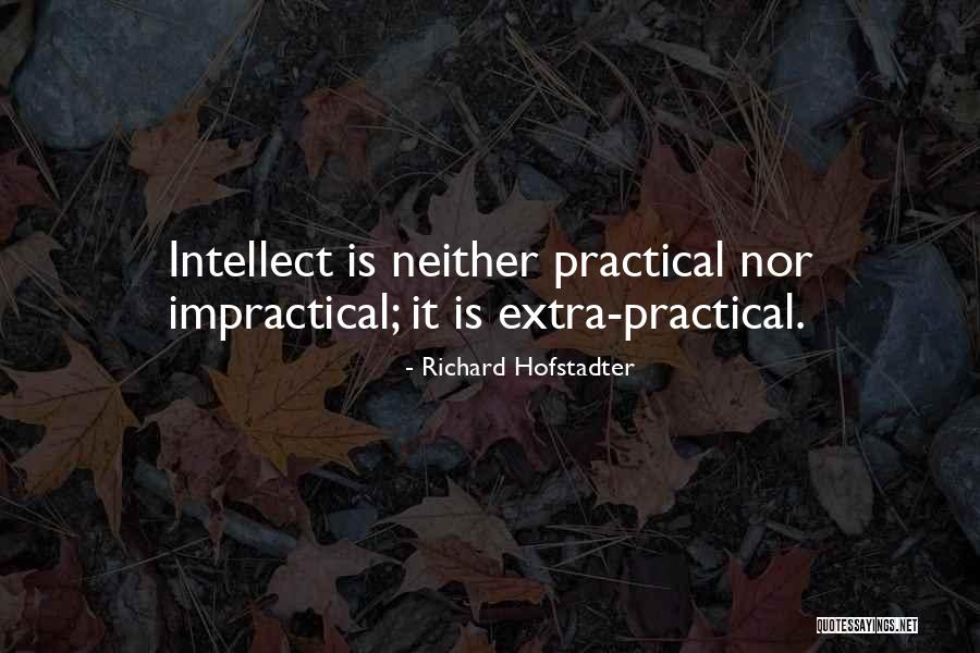 Practicals Quotes By Richard Hofstadter Practicals Quotes By Richard Hofstadter