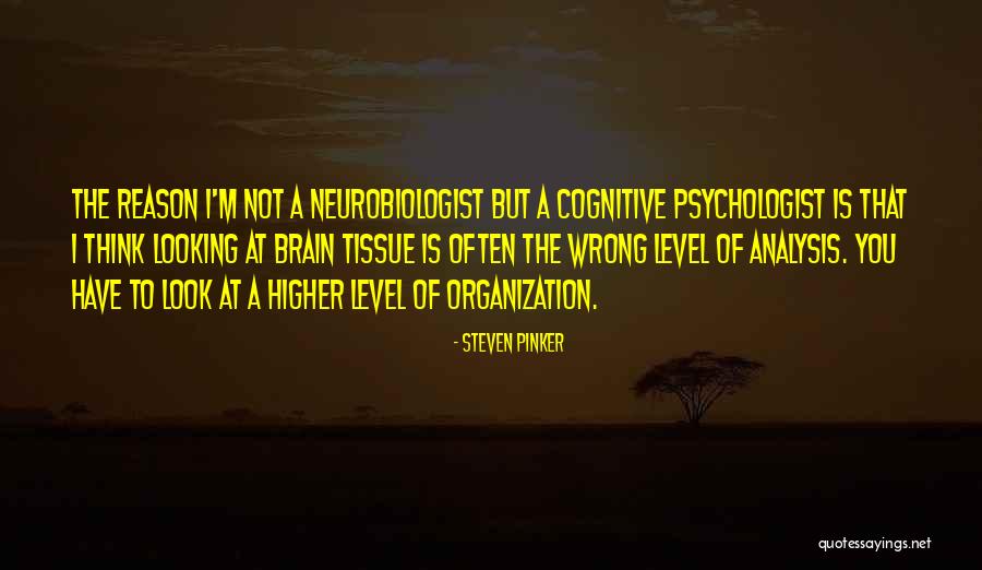 Practicce Quotes By Steven Pinker Practicce Quotes By Steven Pinker