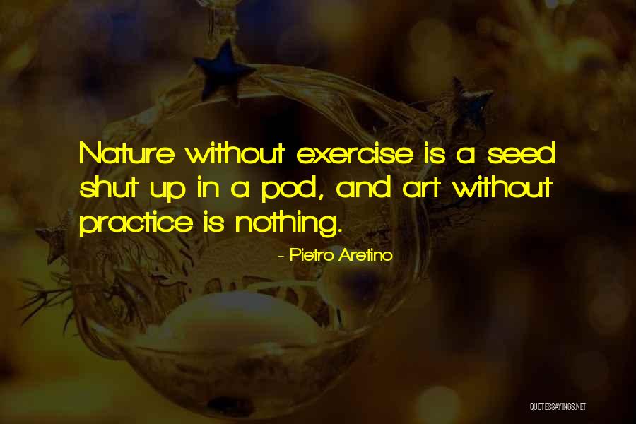 Practice And Art Quotes By Pietro Aretino Practice And Art Quotes By Pietro Aretino