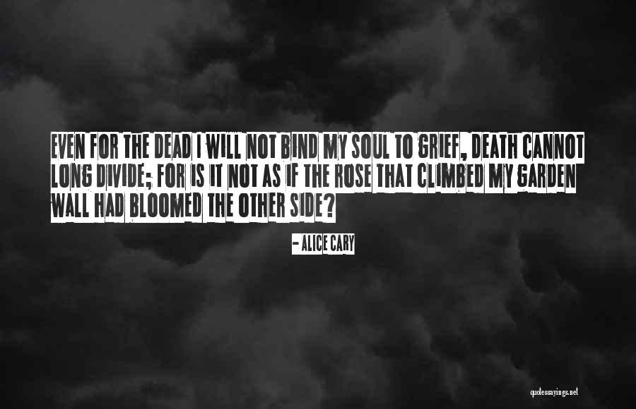 Practice Critical Lens Quotes By Alice Cary Practice Critical Lens Quotes By Alice Cary