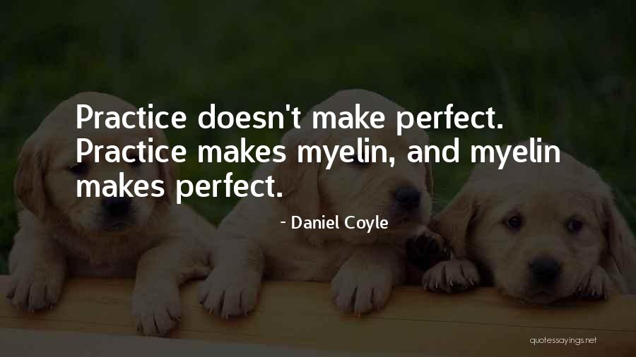 Practice Makes You Perfect Quotes By Daniel Coyle