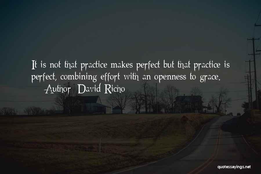 Practice Makes You Perfect Quotes By David Richo