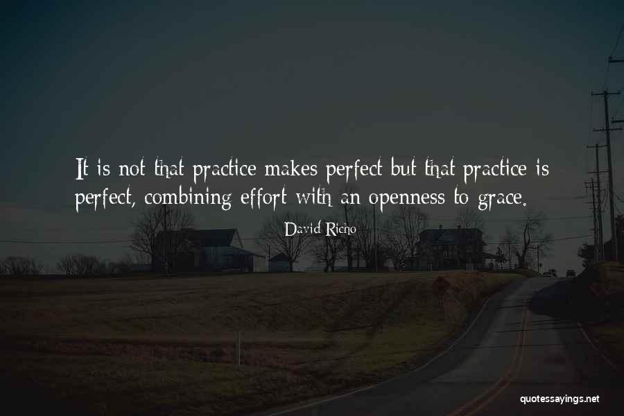 Practice Makes You Perfect Quotes By David Richo