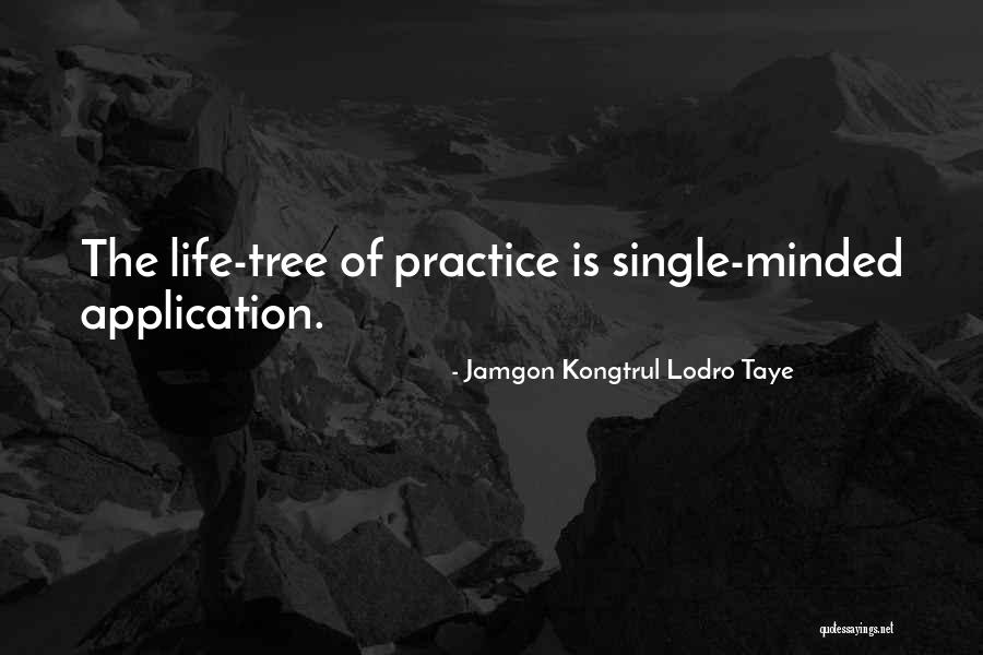 Practice Makes You Perfect Quotes By Jamgon Kongtrul Lodro Taye