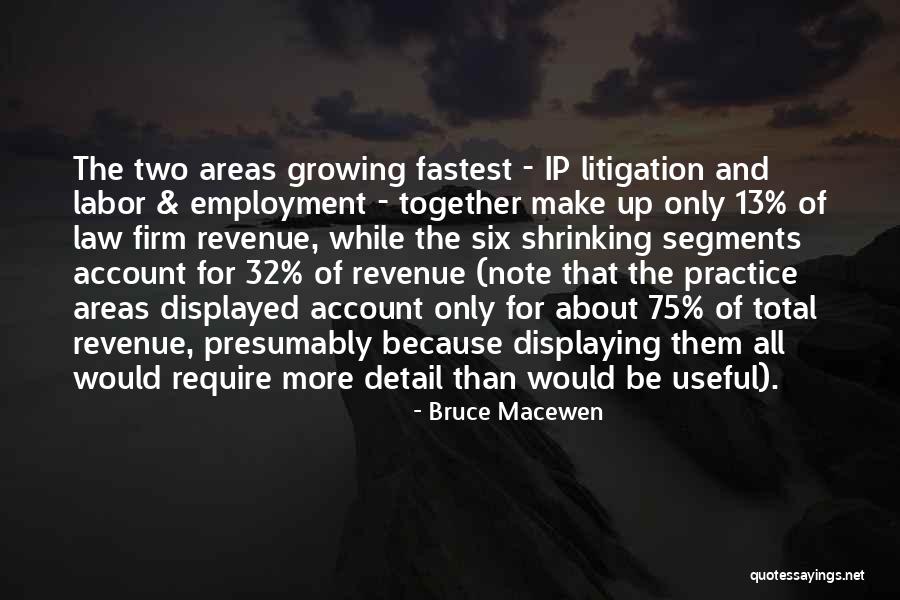 Practice Of Law Quotes By Bruce Macewen Practice Of Law Quotes By Bruce Macewen