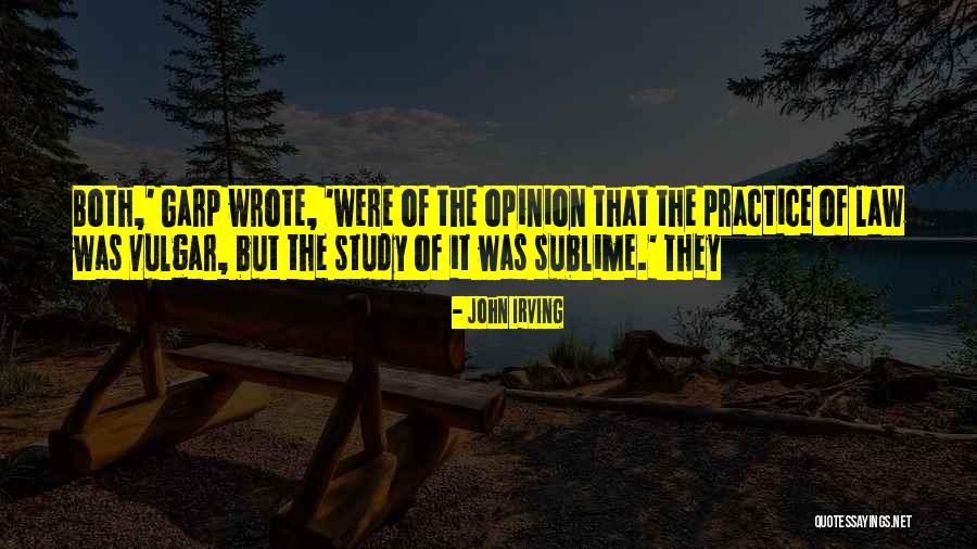 Practice Of Law Quotes By John Irving Practice Of Law Quotes By John Irving