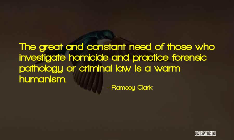 Practice Of Law Quotes By Ramsey Clark Practice Of Law Quotes By Ramsey Clark