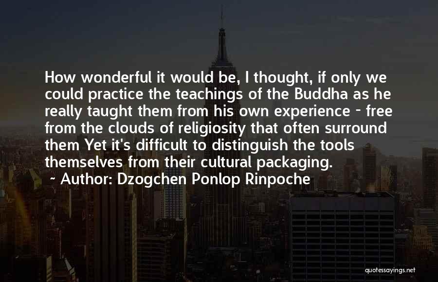 Practice Teaching Quotes By Dzogchen Ponlop Rinpoche