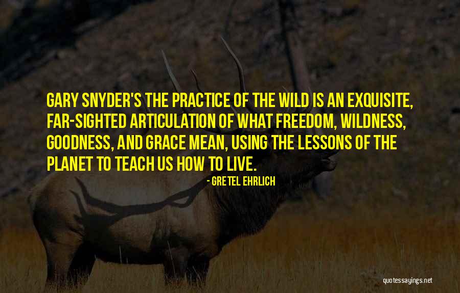 Practice What You Teach Quotes By Gretel Ehrlich Practice What You Teach Quotes By Gretel Ehrlich