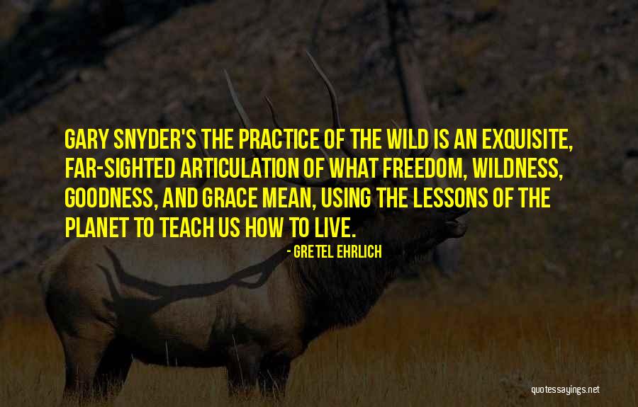 Practice What You Teach Quotes By Gretel Ehrlich