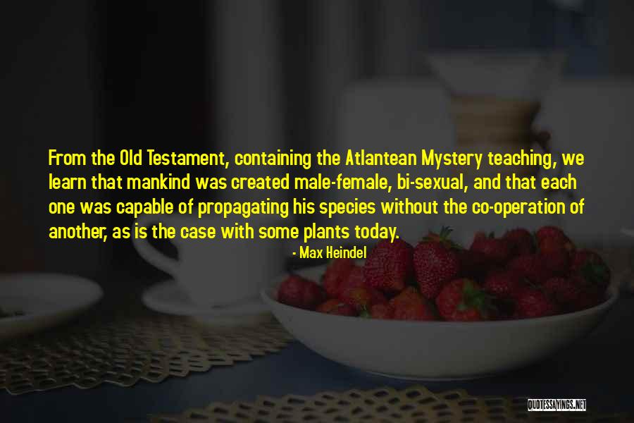 Practicer Stores Quotes By Max Heindel Practicer Stores Quotes By Max Heindel