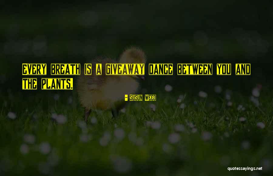 Practicer Stores Quotes By Susun Weed Practicer Stores Quotes By Susun Weed