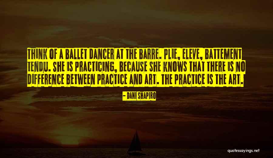 Practicing Art Quotes By Dani Shapiro Practicing Art Quotes By Dani Shapiro