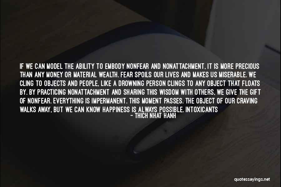 Practicing Happiness Quotes By Thich Nhat Hanh Practicing Happiness Quotes By Thich Nhat Hanh