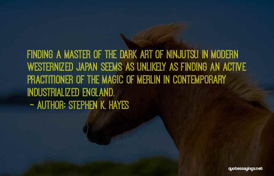 Practitioner Quotes By Stephen K. Hayes