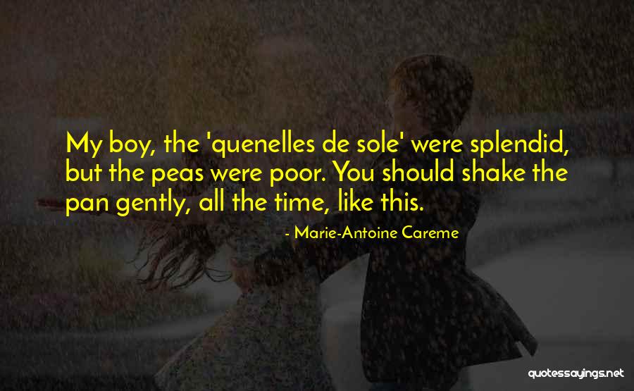 Pradnya Desh Quotes By Marie-Antoine Careme Pradnya Desh Quotes By Marie-Antoine Careme
