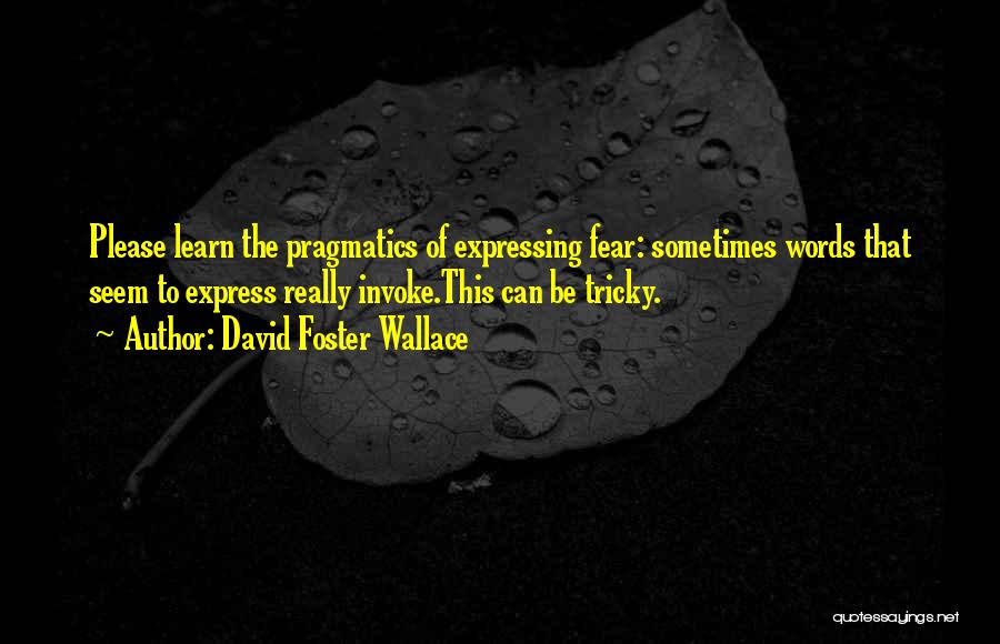 Pragmatics Quotes By David Foster Wallace