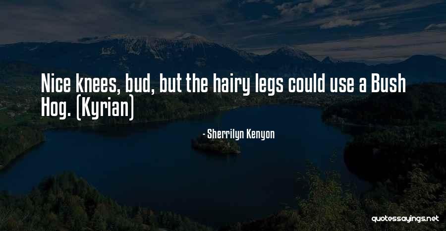 Pragmatisch Quotes By Sherrilyn Kenyon Pragmatisch Quotes By Sherrilyn Kenyon