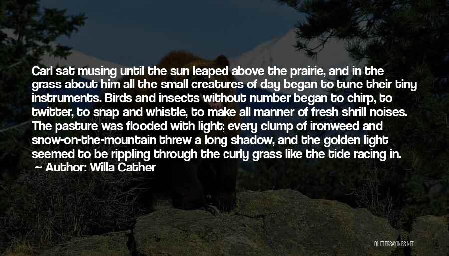 Prairie Grass Quotes By Willa Cather
