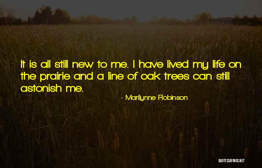 Prairie Life Quotes By Marilynne Robinson