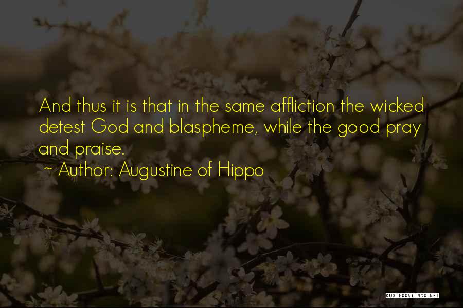 Praise Quotes By Augustine Of Hippo