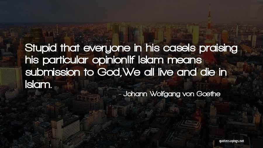 Praising God Quotes By Johann Wolfgang Von Goethe