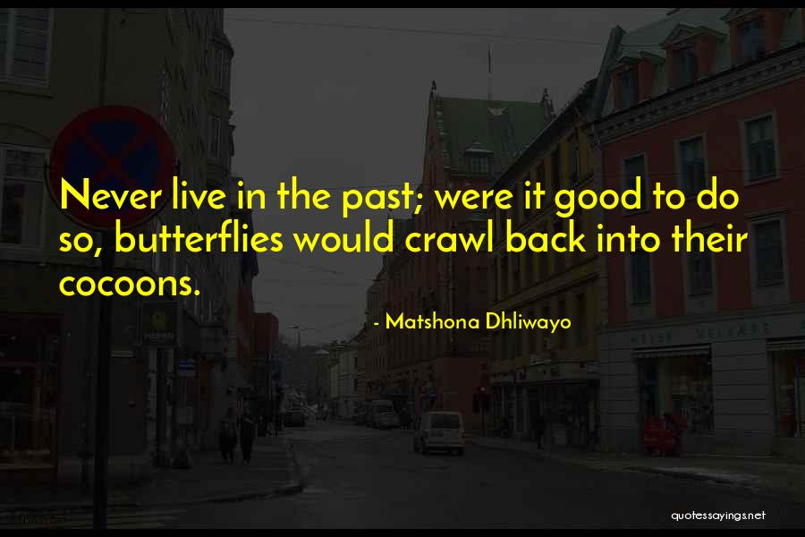 Praktis Quotes By Matshona Dhliwayo Praktis Quotes By Matshona Dhliwayo