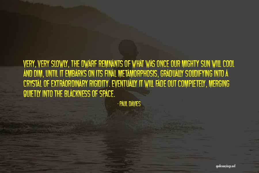 Praktis Quotes By Paul Davies Praktis Quotes By Paul Davies