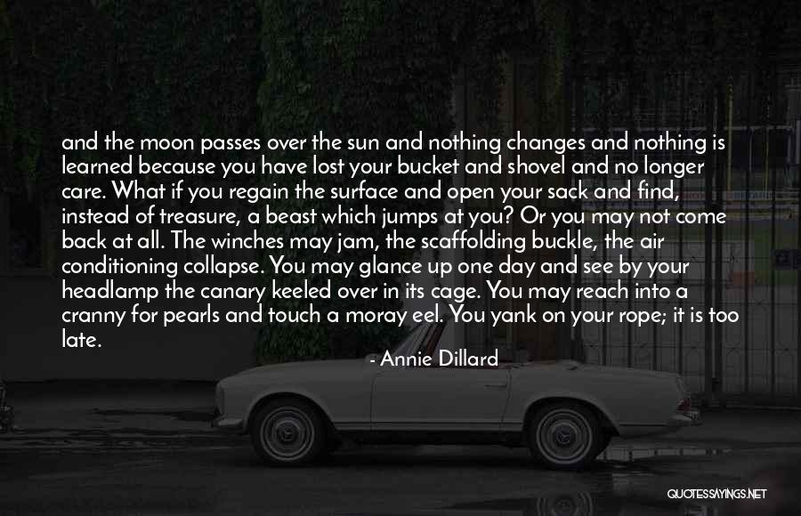 Pramada Quotes By Annie Dillard Pramada Quotes By Annie Dillard