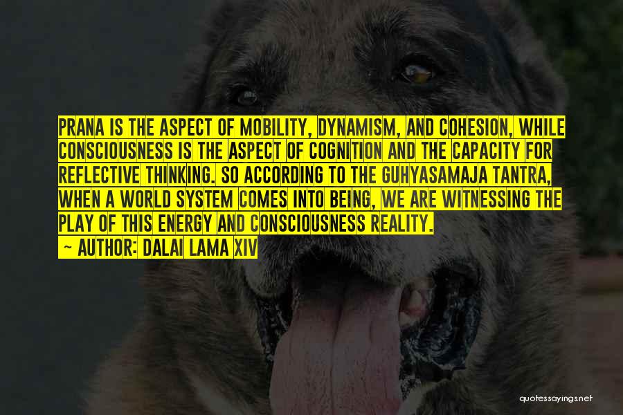 Prana Energy Quotes By Dalai Lama XIV