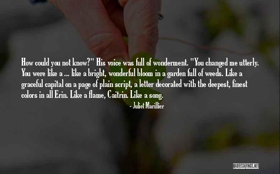 Prangs Florist Quotes By Juliet Marillier Prangs Florist Quotes By Juliet Marillier