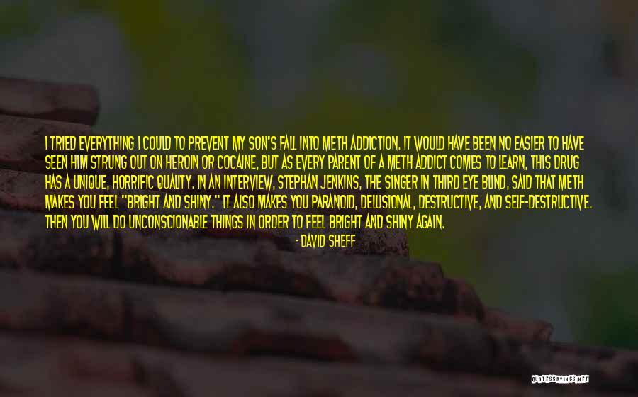 Pransky Institute Quotes By David Sheff Pransky Institute Quotes By David Sheff