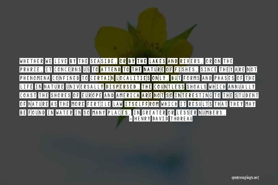 Prarie Quotes By Henry David Thoreau Prarie Quotes By Henry David Thoreau