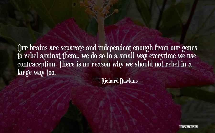 Prasad Nepali Quotes By Richard Dawkins Prasad Nepali Quotes By Richard Dawkins