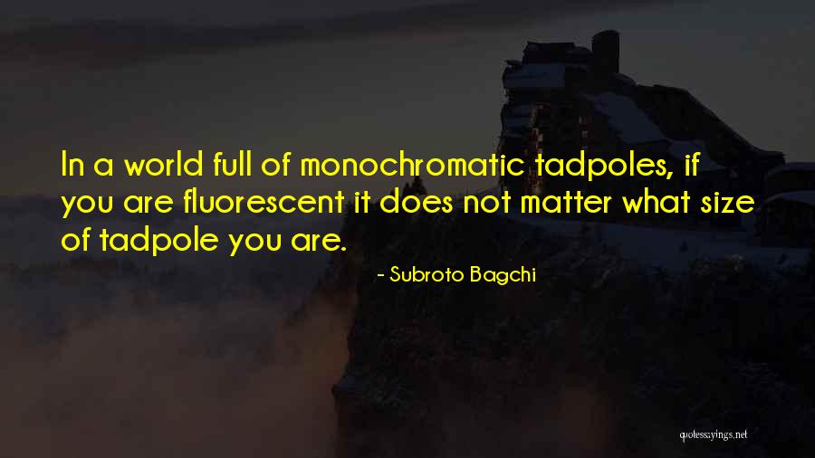 Prasangka Negatif Quotes By Subroto Bagchi Prasangka Negatif Quotes By Subroto Bagchi