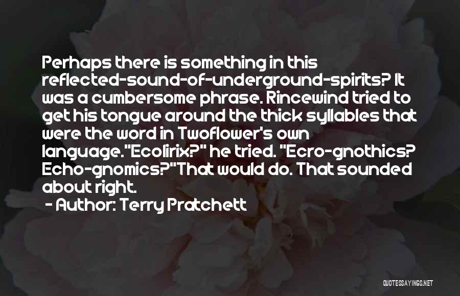 Pratchett Rincewind Quotes By Terry Pratchett