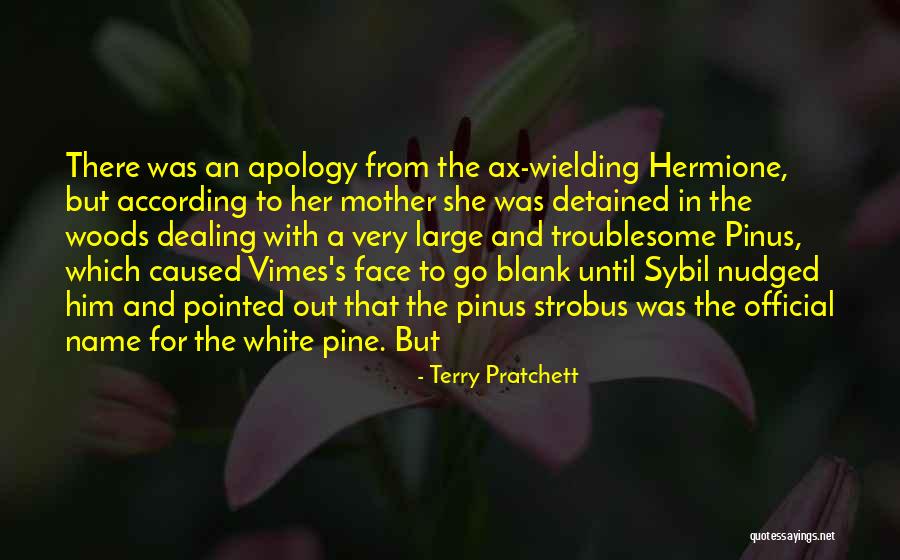 Pratchett Vimes Quotes By Terry Pratchett Pratchett Vimes Quotes By Terry Pratchett