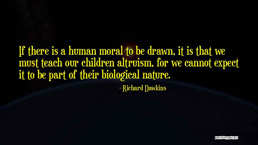 Prateleiras Cozinha Quotes By Richard Dawkins Prateleiras Cozinha Quotes By Richard Dawkins